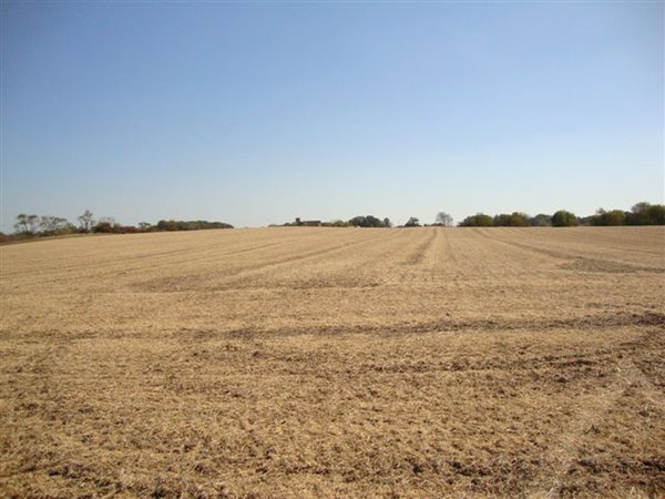 321.5 Acres Offered in 8 Tracts