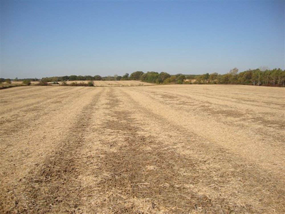 Property photo 5 - 321.5 Acres Offered in 8 Tracts