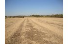 Property photo 5 - 321.5 Acres Offered in 8 Tracts