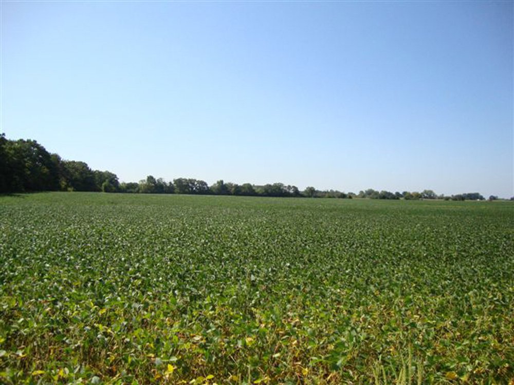Property photo 10 - 321.5 Acres Offered in 8 Tracts