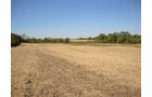Property photo 2 - 321.5 Acres Offered in 8 Tracts