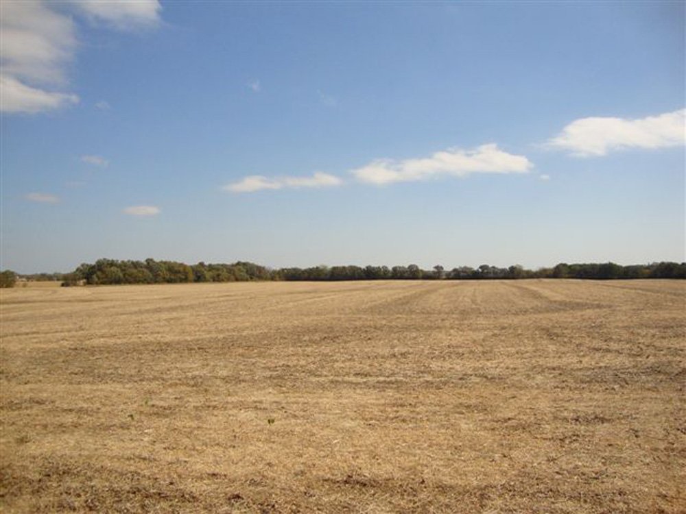 Property photo 3 - 321.5 Acres Offered in 8 Tracts