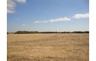 Property photo 3 - 321.5 Acres Offered in 8 Tracts