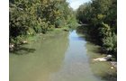 Property photo 5 - 132 Acres Offered in 6 Tracts