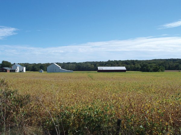 132 Acres Offered in 6 Tracts