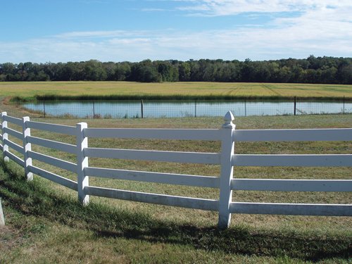 Property photo 6 - 132 Acres Offered in 6 Tracts