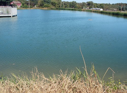 Property photo 8 - 132 Acres Offered in 6 Tracts