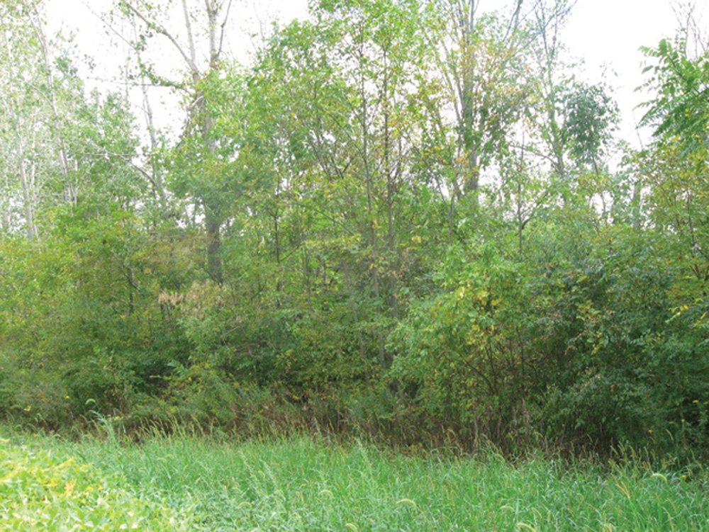 Property photo 19 - Southern Allen County Property