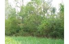 Property photo 19 - Southern Allen County Property