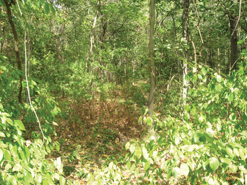 Property photo 11 - Southern Allen County Property