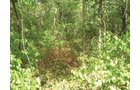 Property photo 11 - Southern Allen County Property