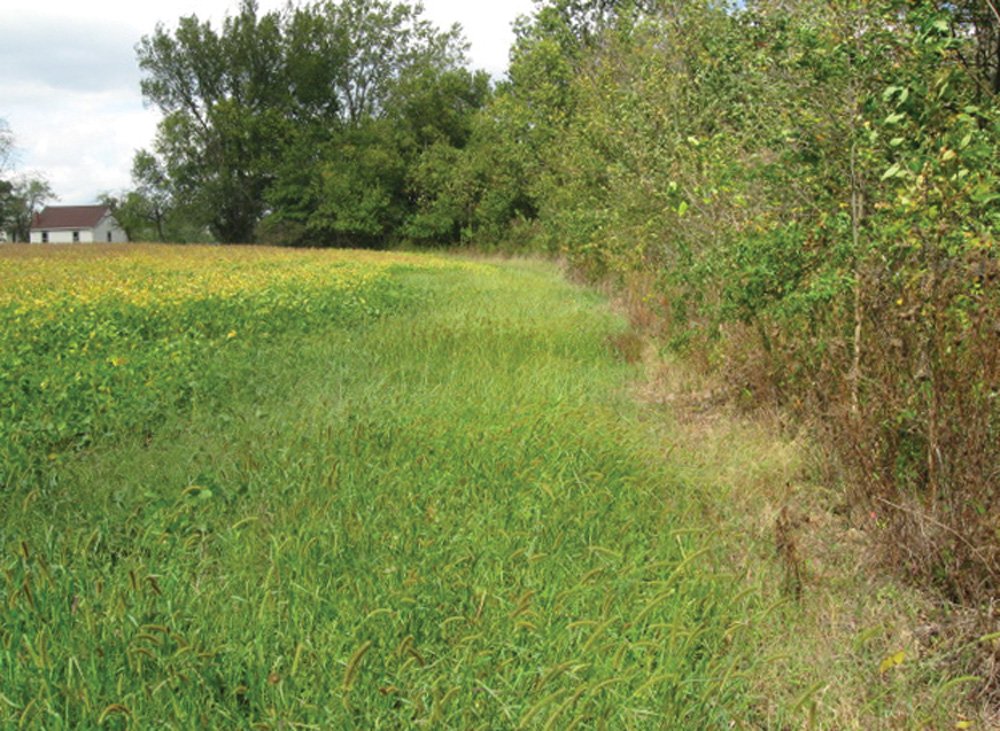 Property photo 14 - Southern Allen County Property