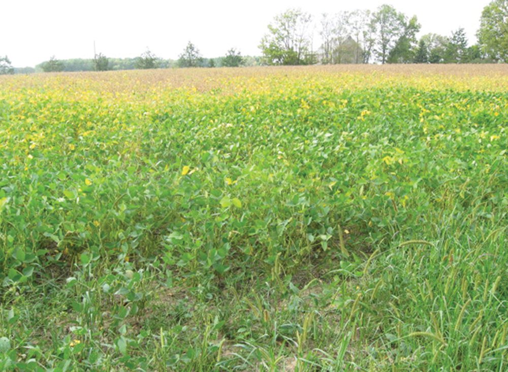 Property photo 18 - Southern Allen County Property