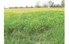 Property photo 18 - Southern Allen County Property