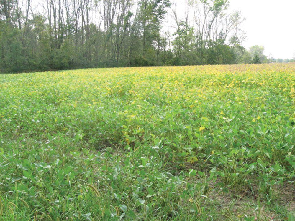 Property photo 15 - Southern Allen County Property