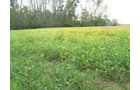 Property photo 15 - Southern Allen County Property