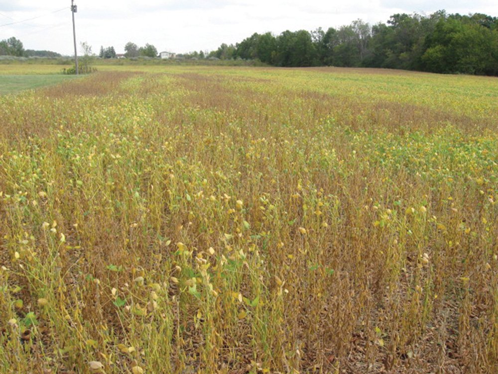 Property photo 10 - Southern Allen County Property