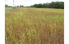 Property photo 10 - Southern Allen County Property