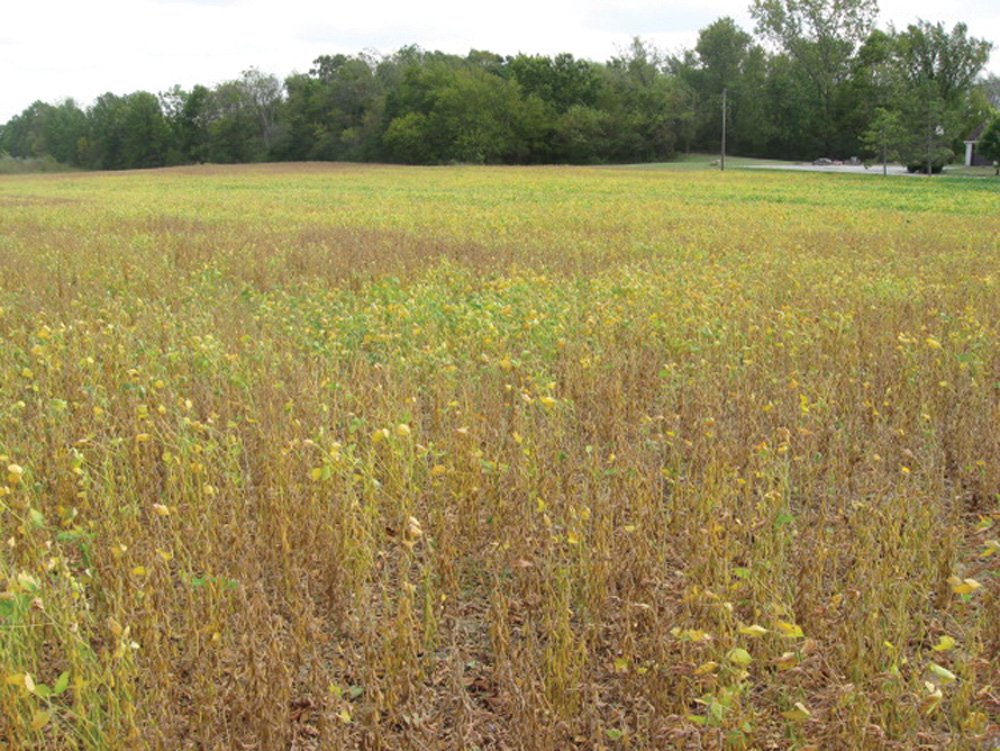 Property photo 16 - Southern Allen County Property
