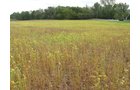 Property photo 16 - Southern Allen County Property