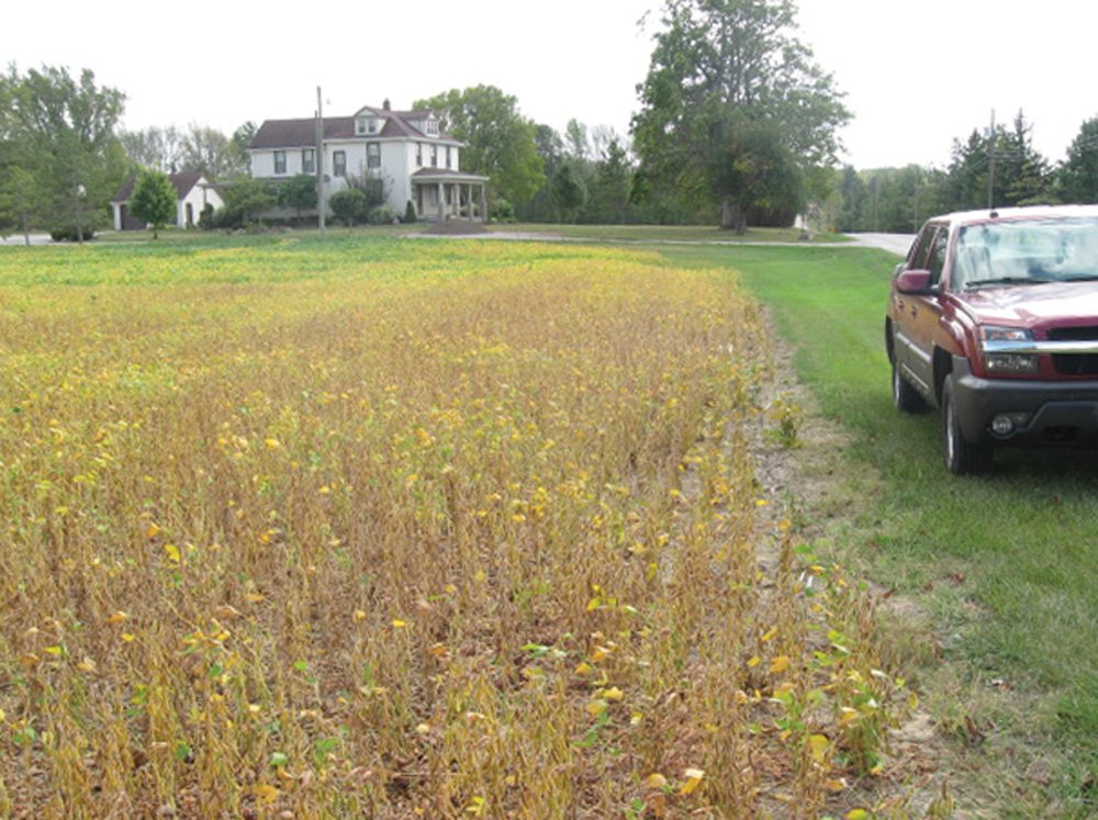 Property photo 5 - Southern Allen County Property