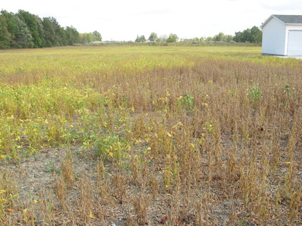 Property photo 23 - Southern Allen County Property