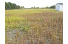 Property photo 23 - Southern Allen County Property