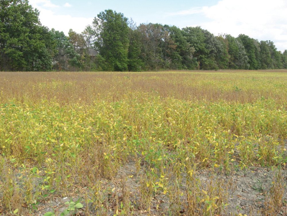 Property photo 20 - Southern Allen County Property