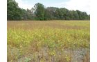 Property photo 20 - Southern Allen County Property