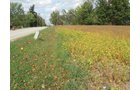 Property photo 3 - Southern Allen County Property