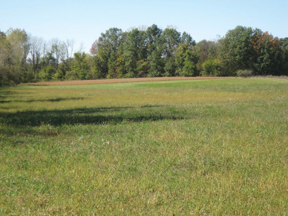 Property photo 4 - Southern Allen County Property