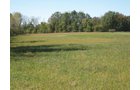 Property photo 4 - Southern Allen County Property