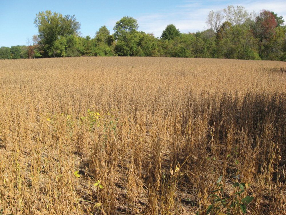 Property photo 8 - Southern Allen County Property