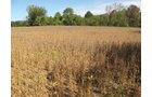 Property photo 8 - Southern Allen County Property