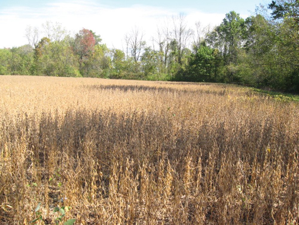 Property photo 7 - Southern Allen County Property