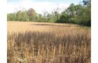 Property photo 7 - Southern Allen County Property