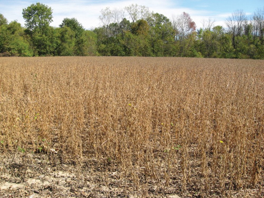 Property photo 17 - Southern Allen County Property