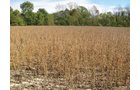 Property photo 17 - Southern Allen County Property