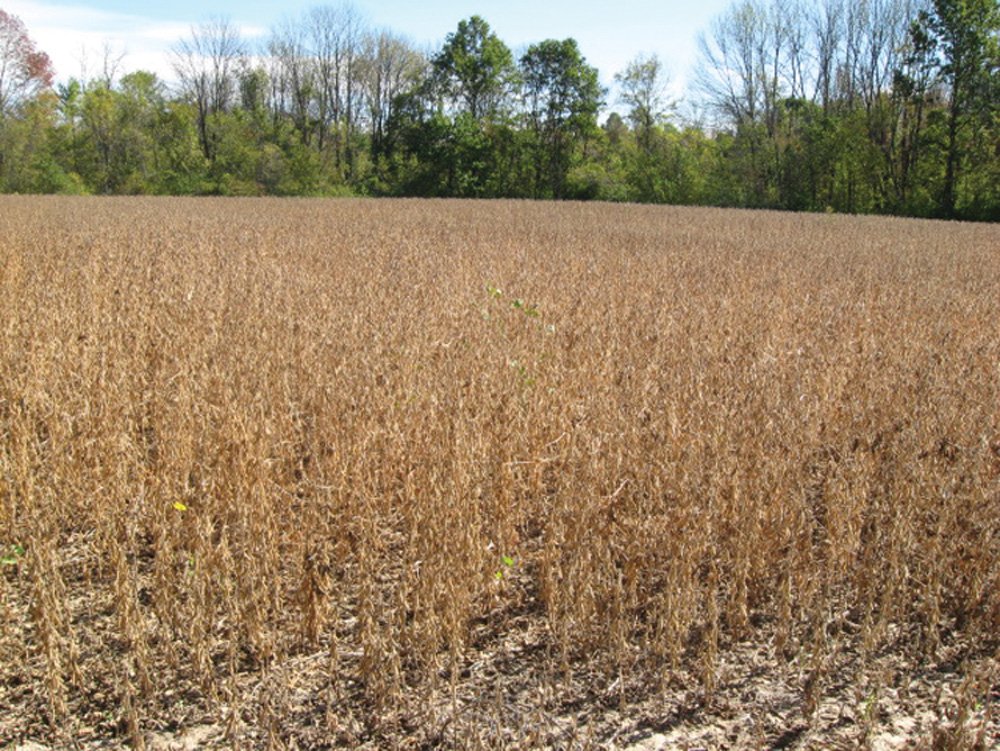 Property photo 13 - Southern Allen County Property