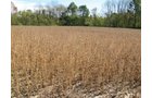 Property photo 13 - Southern Allen County Property