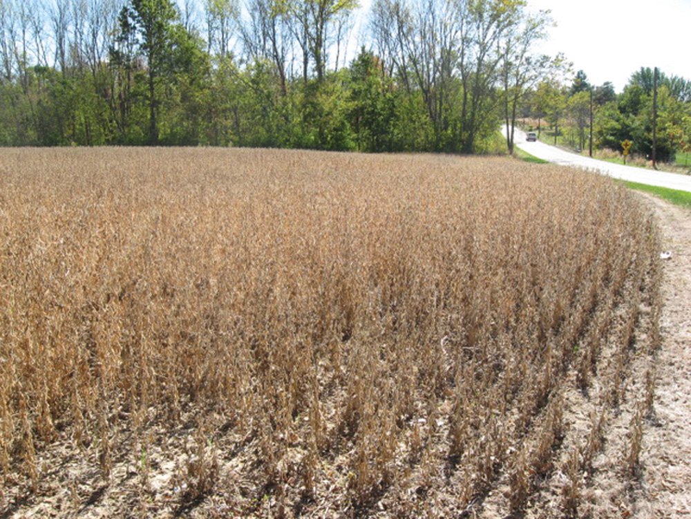 Property photo 9 - Southern Allen County Property