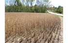 Property photo 9 - Southern Allen County Property