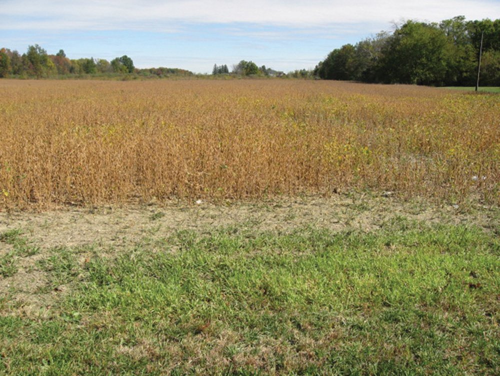Property photo 12 - Southern Allen County Property