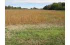Property photo 12 - Southern Allen County Property