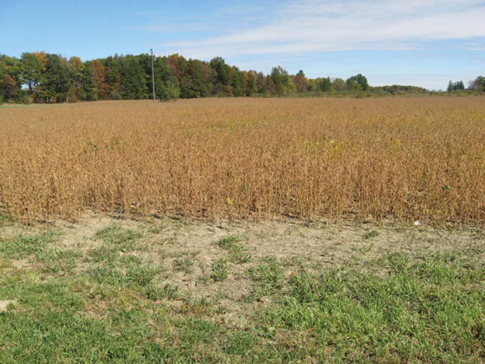 Property photo 1 - Southern Allen County Property