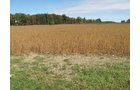 Property photo 1 - Southern Allen County Property