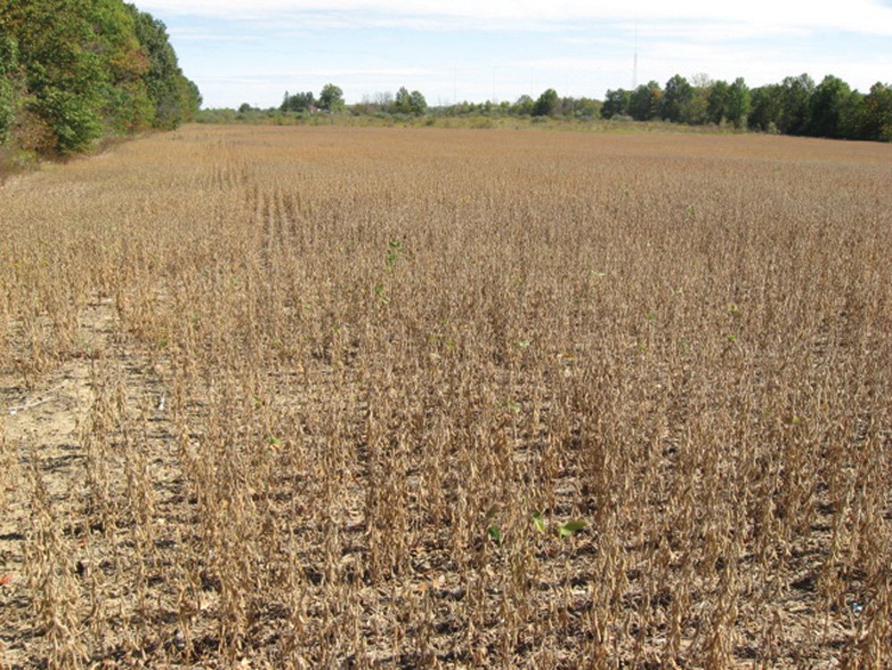 Property photo 22 - Southern Allen County Property