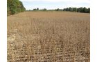 Property photo 22 - Southern Allen County Property
