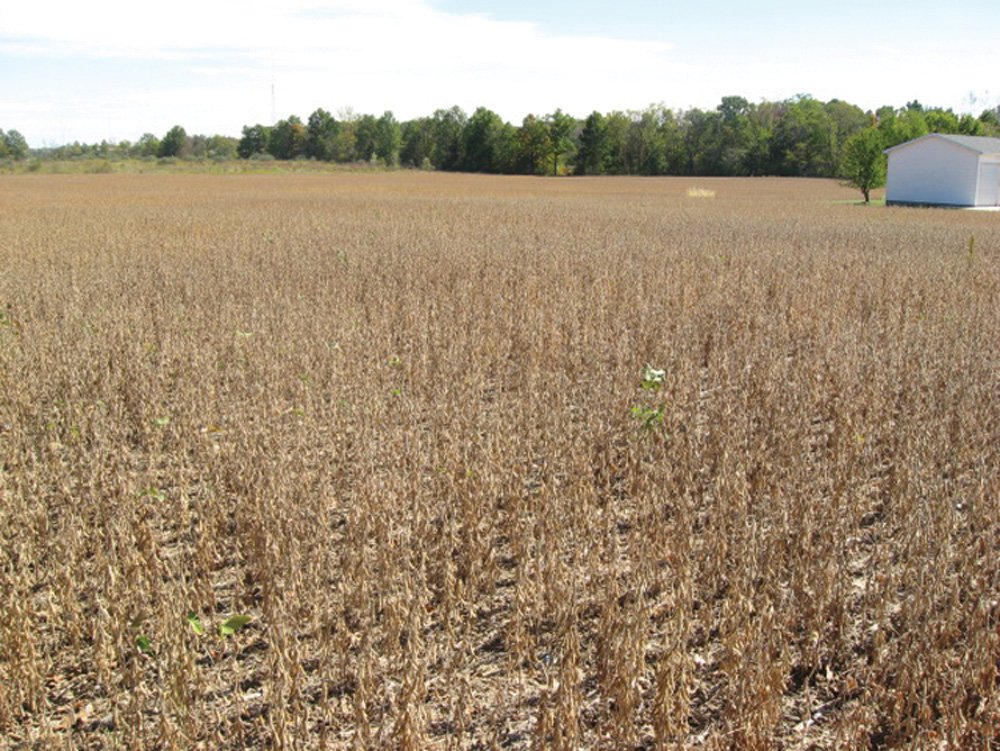 Property photo 21 - Southern Allen County Property