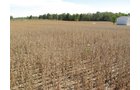 Property photo 21 - Southern Allen County Property
